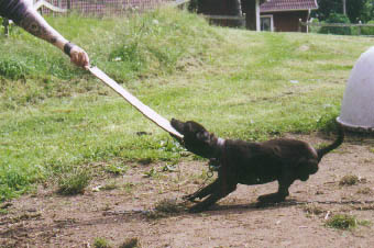 Pepsi work out on T.O.W.